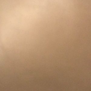 Meet your Posher, Bruce